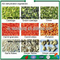 pretreatment of greenstuff dehydration line